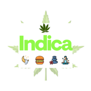 Sativa Vs Indica Vs Hybrid