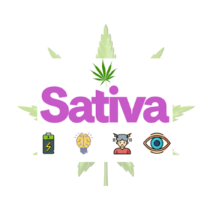 Sativa Vs Indica Vs Hybrid