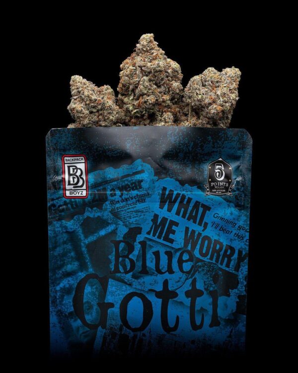 BLUE GOTTI BACKPACK BOYZ
