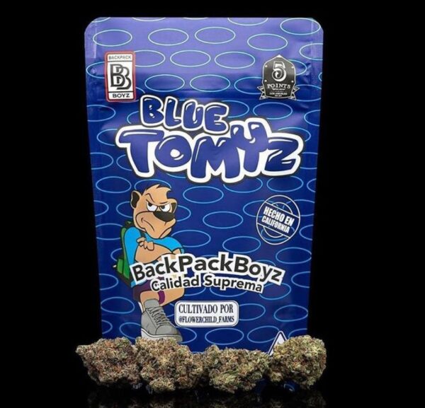 BLUE TOMYZ BACKPACK BOYZ